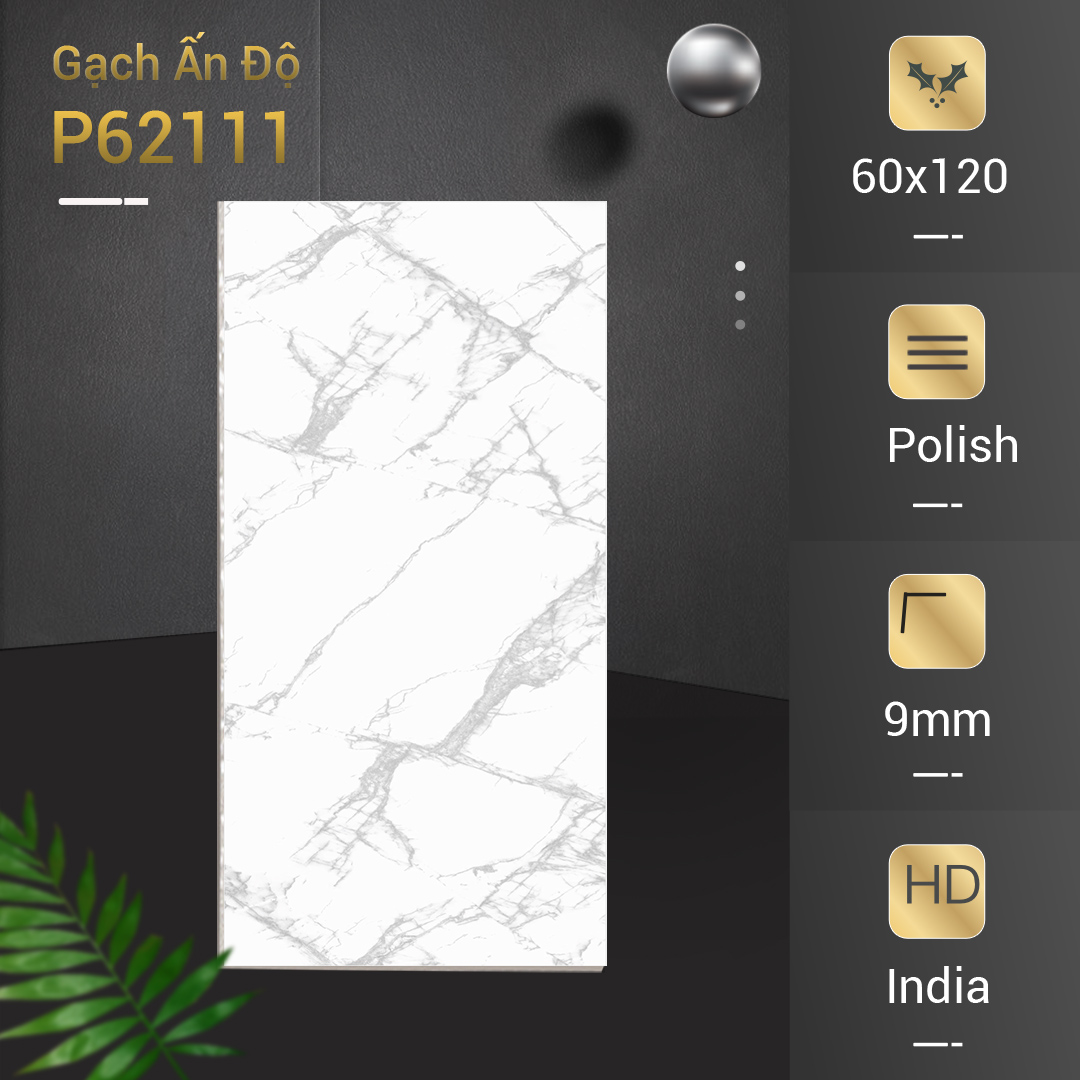 Gạch Ấn Độ Azone 60x120 P62111