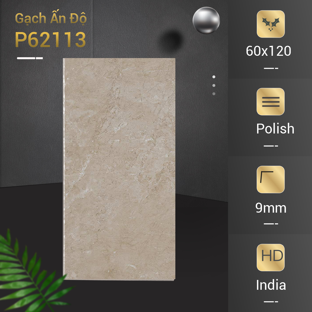Gạch Ấn Độ Azone 60x120 P62113