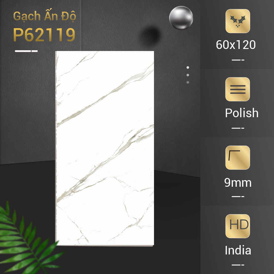 Gạch Ấn Độ Azone 60x120 P62119